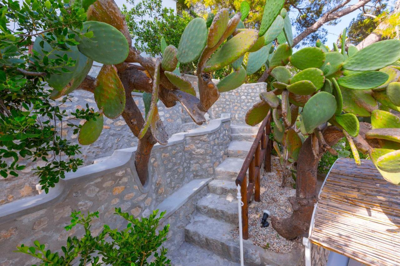 Faraglionensis Monaconehouse Villa Капри Екстериор снимка